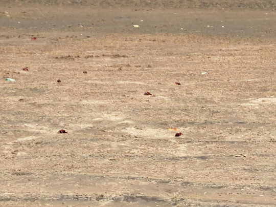 Udaipur Beach-Udaypur必去景点