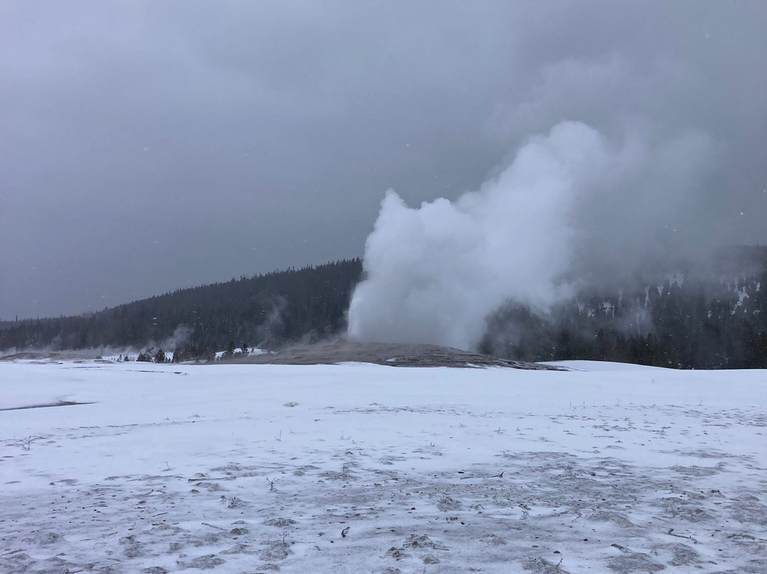 Old Faithful Snowmobile Tours - Day Tours-杰克逊必去景点