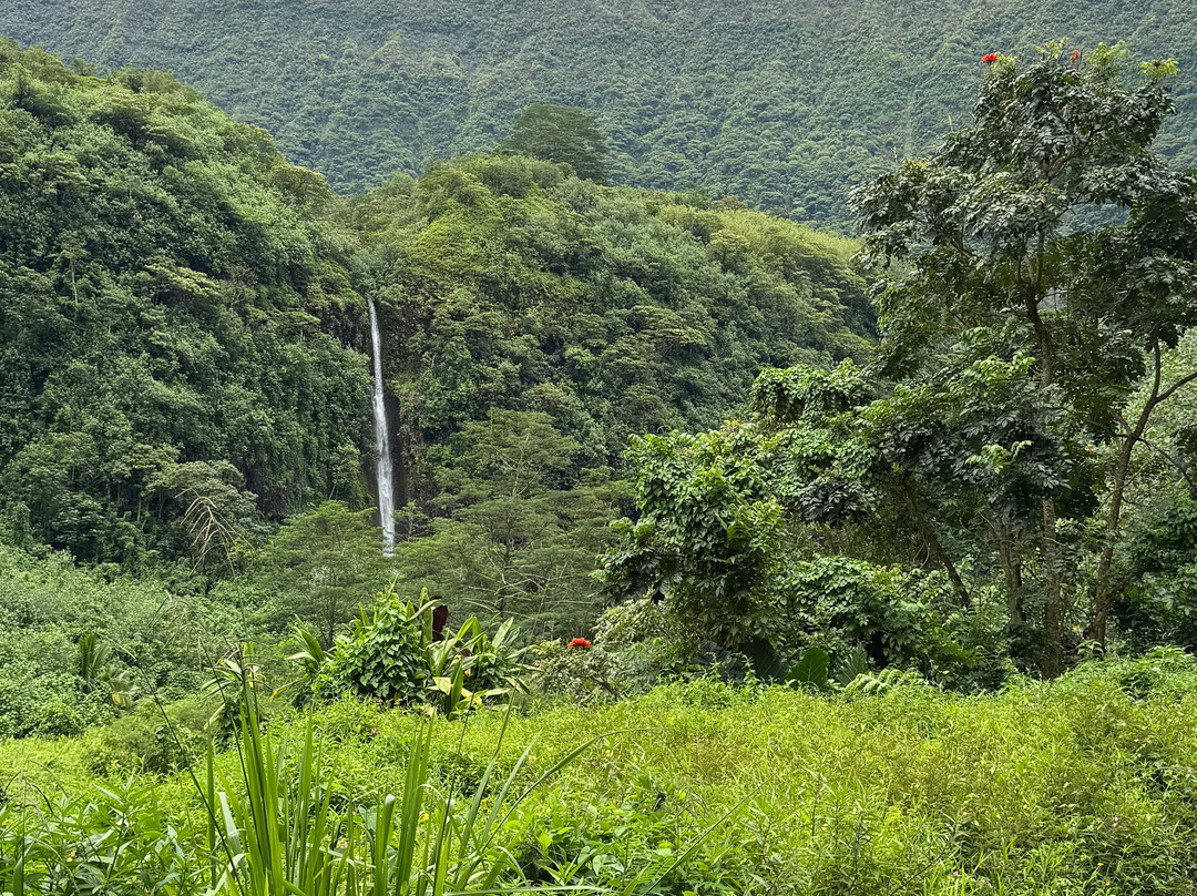 Marama Safari 4x4-法阿必去景点