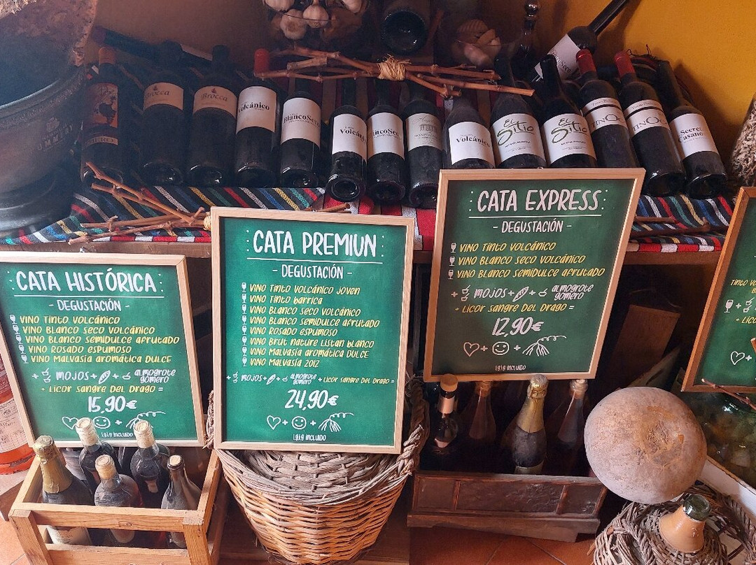 Museo de Malvasia-伊科德洛斯维诺斯必去景点