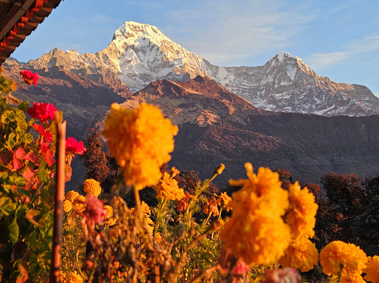 Nepal Wilderness Trekking Pvt-加德满都必去景点