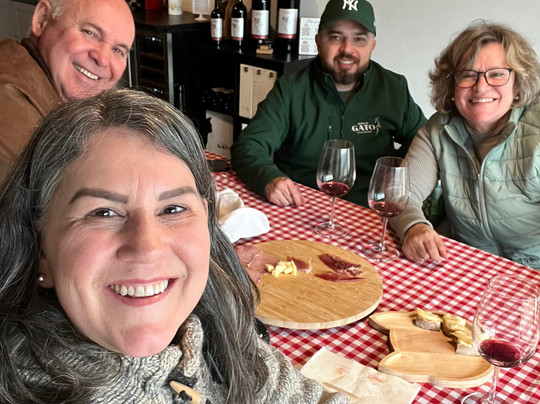 Quinta Do Gato Enoturismo-Sao Pedro do Sul必去景点