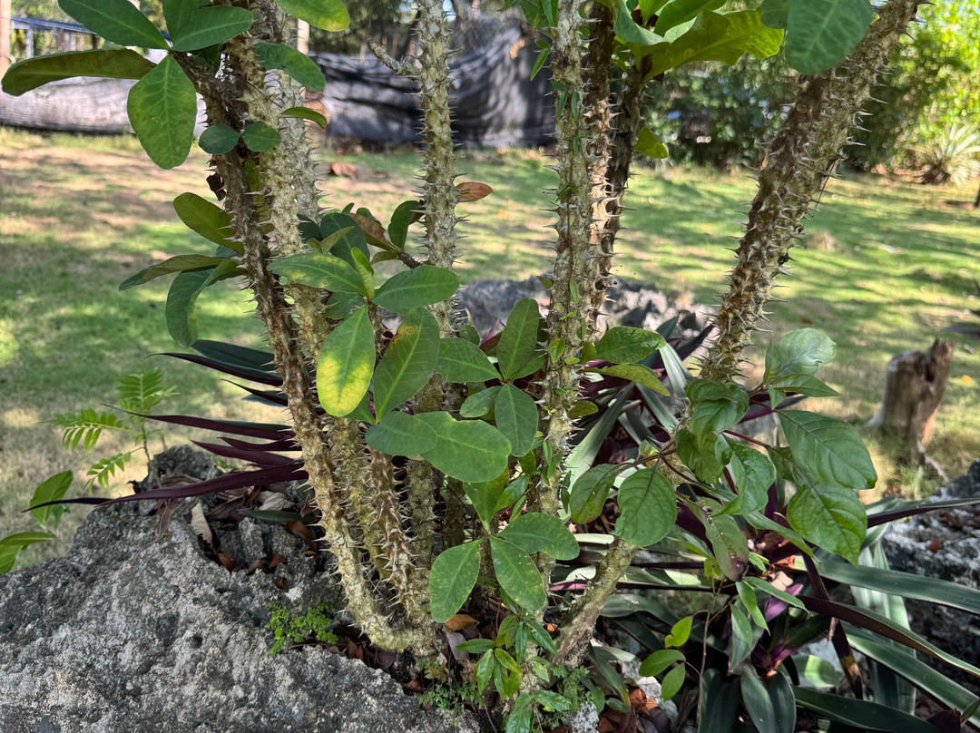 Laguna El Dudu-Cabrera必去景点