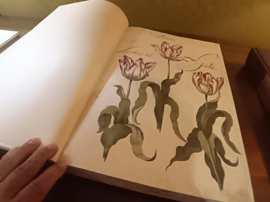 博尔戈皇宫酒店主图