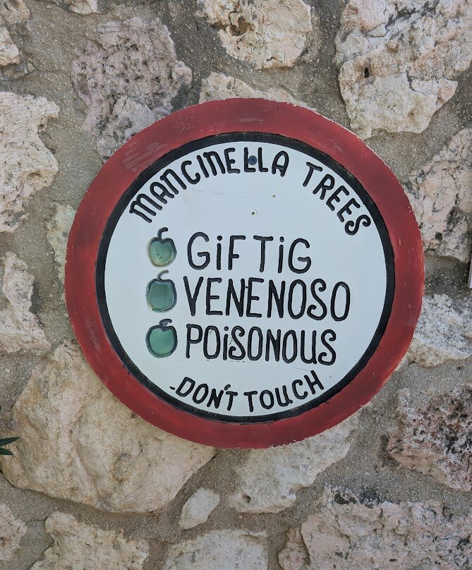 Hato Caves-威廉斯塔德必去景点