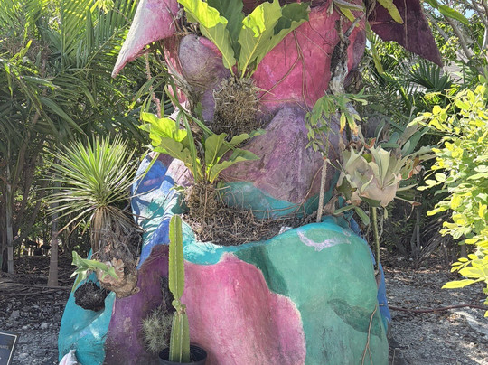 National Art Gallery Of The Bahamas-拿骚必去景点