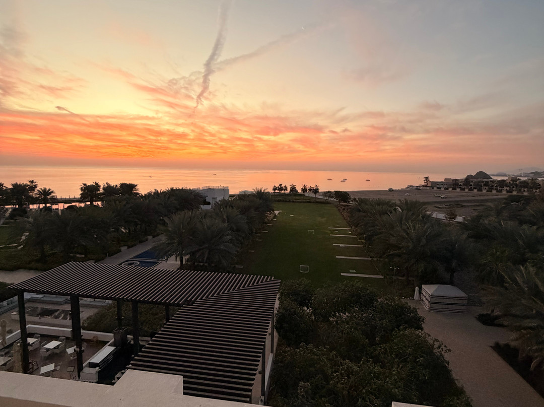 Nemo Diving Center - Fujairah-Dibba Al Fujairah必去景点