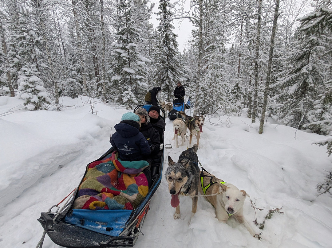 Blueberry Lodge Tours and Activities-Overkalix必去景点