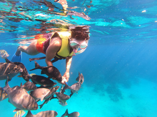 Snorkeling Tour Varadero-巴拉德罗必去景点
