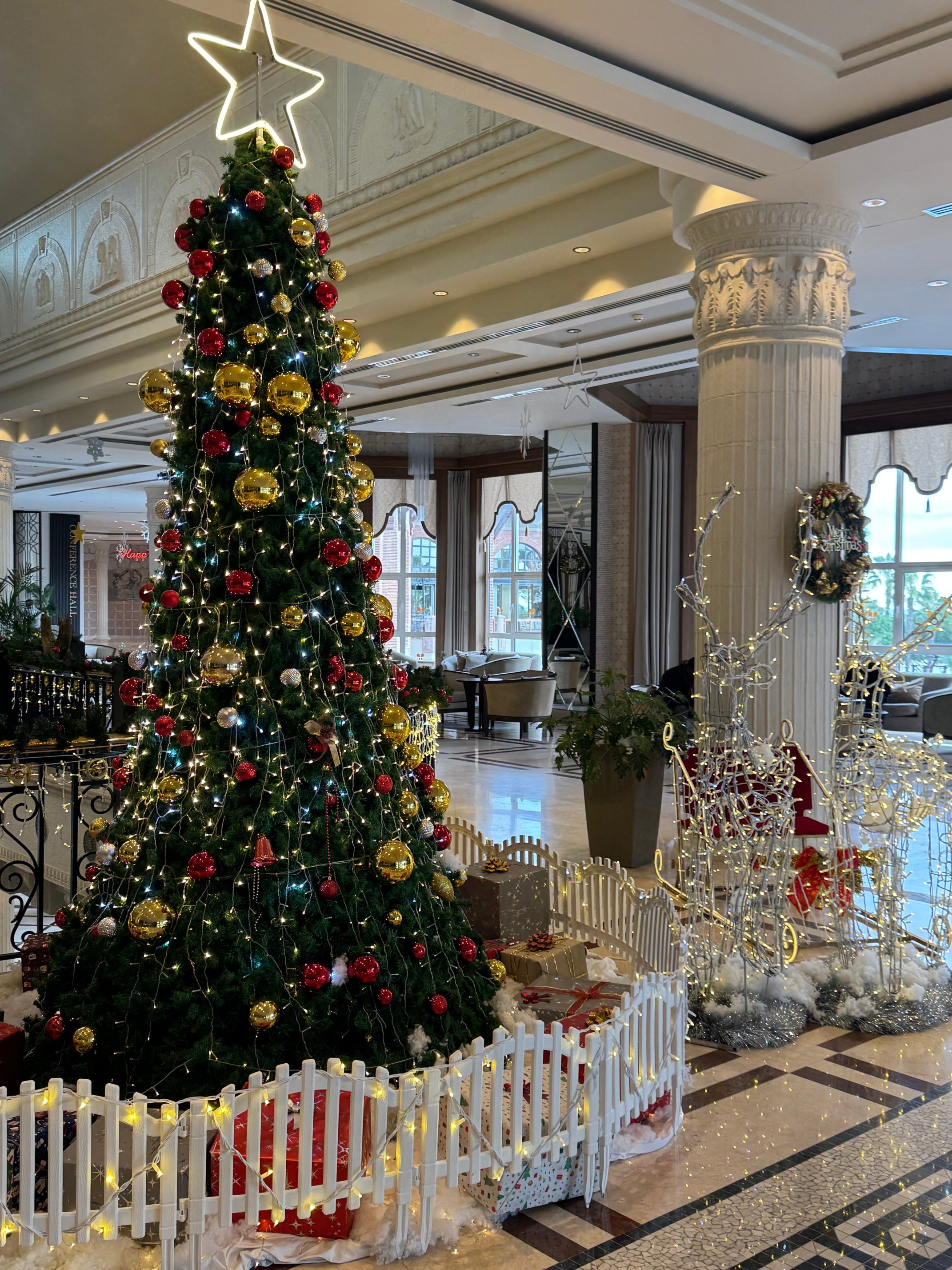 Papillon Zeugma Relaxury-官方