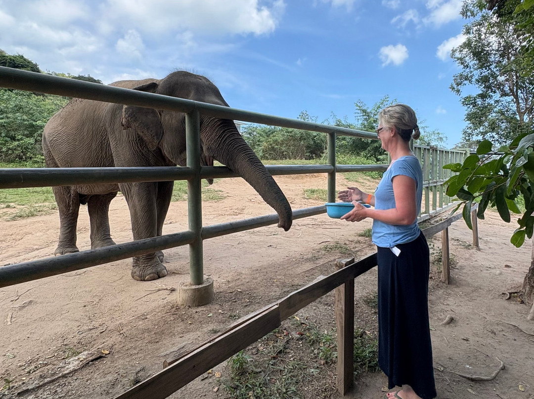 Travel Authentic Asia-河内必去景点