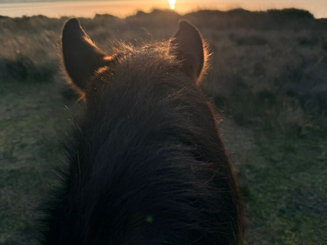 Centro Ippico Meurreddus a Cuaddu-San Giovanni Suergiu必去景点