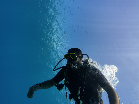 Turquoise Dream-Neil Island必去景点