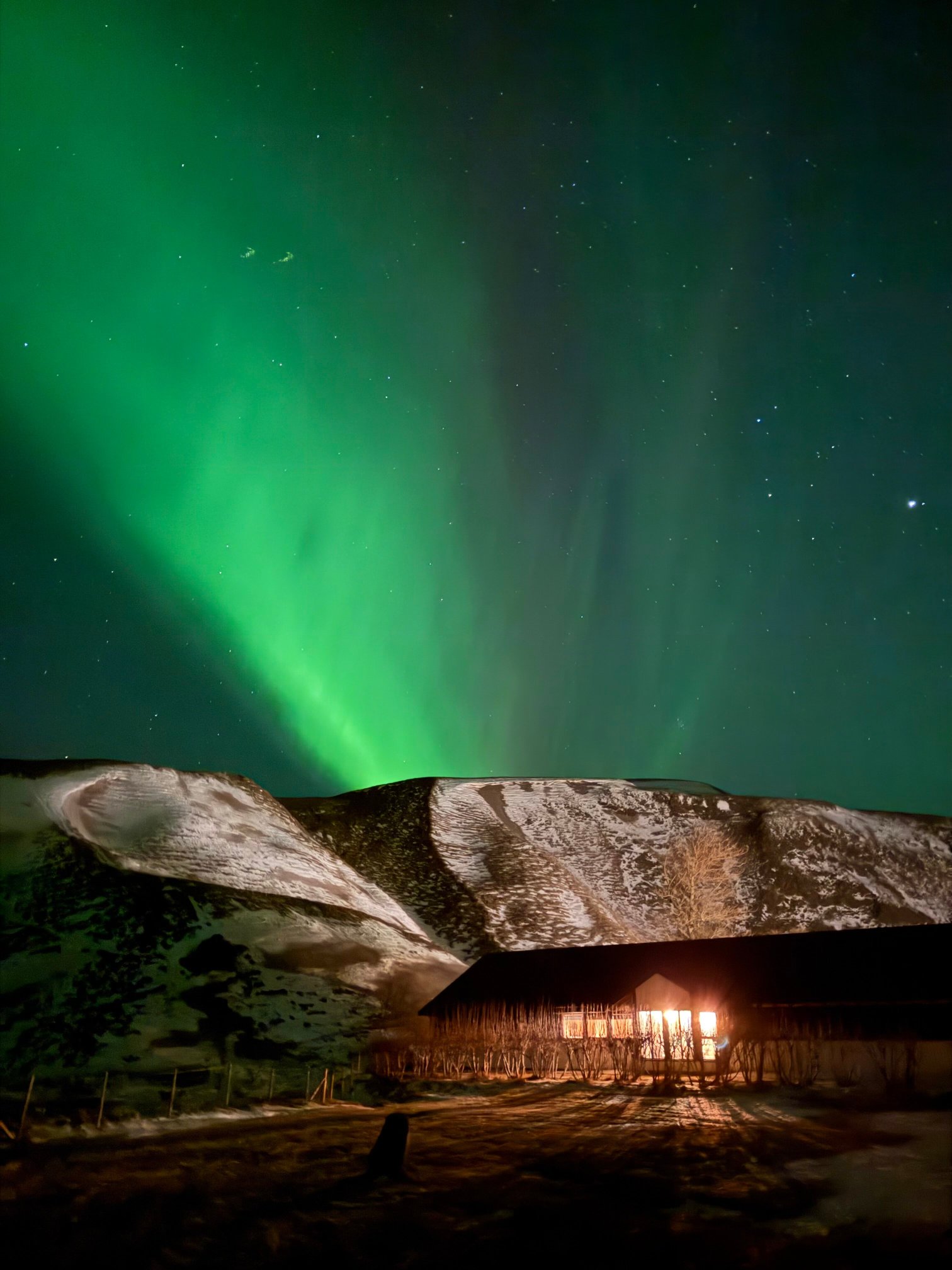 卡特拉酒店-官方
