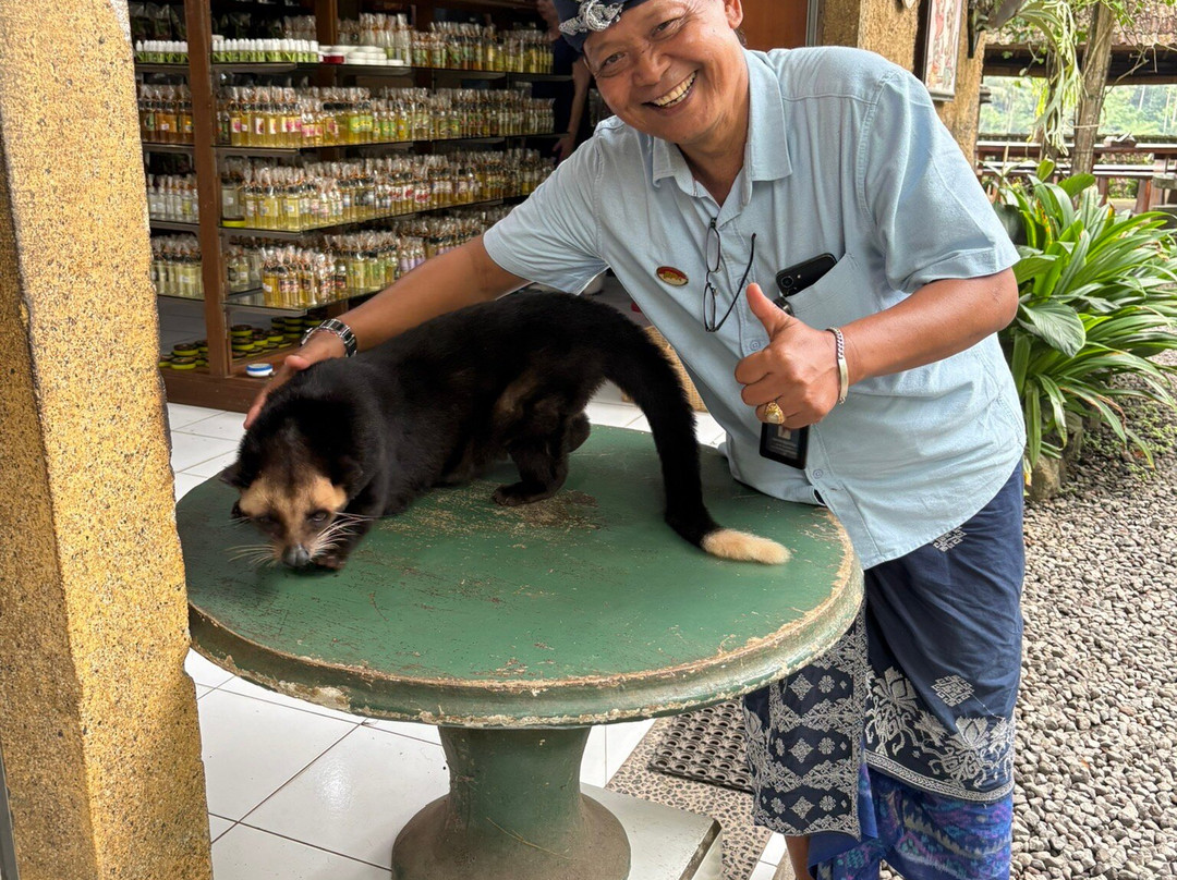 Bali Golden Destination-巴厘岛必去景点