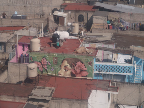 Kactus-墨西哥城必去景点