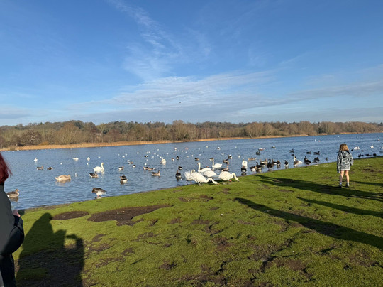 Whitlingham Country Park-诺威奇必去景点