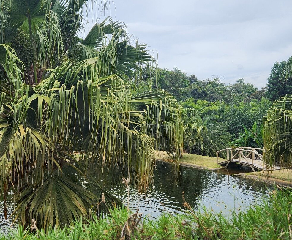 Toca da Truta-Ibitirama必去景点