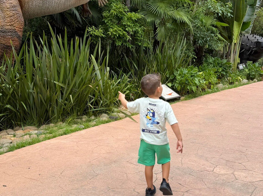 Aventura Jurássica-康泊琉海水浴场必去景点