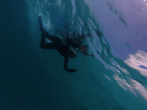 Mission Beach Dive-Mission Beach必去景点