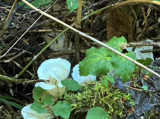 Pond Tashiro-松本市必去景点