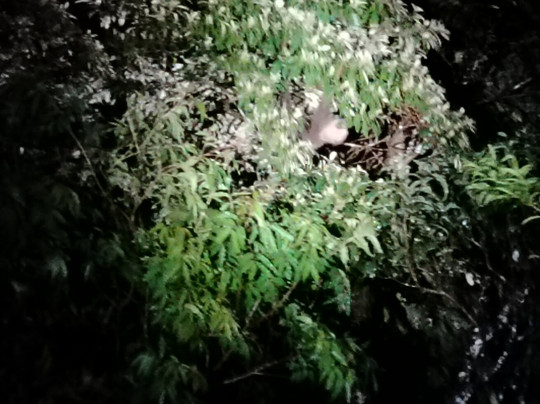 Exciting Travel Costa Rica-阿拉辉拉必去景点