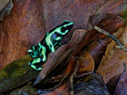 La Kukula Lodge主图