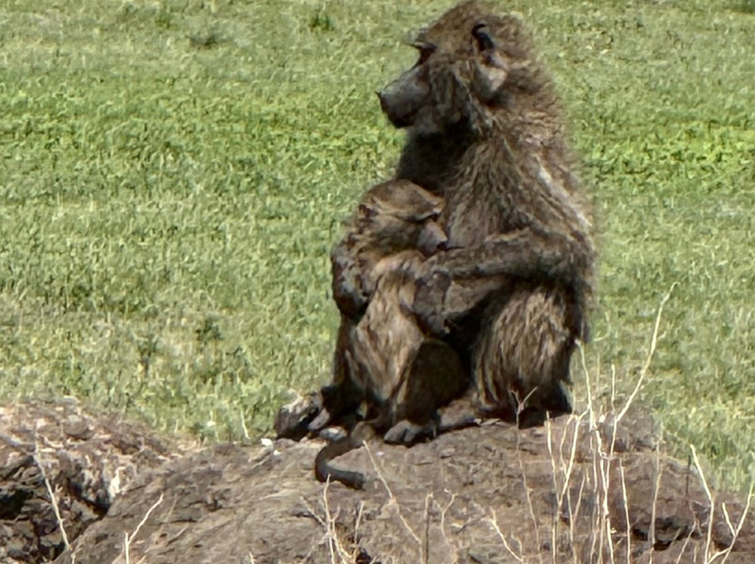 Unlimited Expeditions - The Soul Of Tanzania-阿鲁沙必去景点