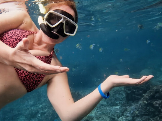 Pirate Divers Bang Niang, Khao Lak-拉克山必去景点