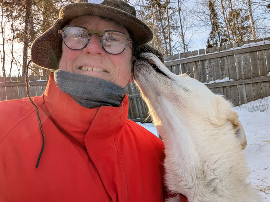 Chilly Dogs Sled Dog Trips-伊利必去景点