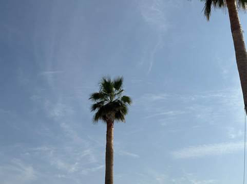 The Social Pool At Five Palm Jumeirah