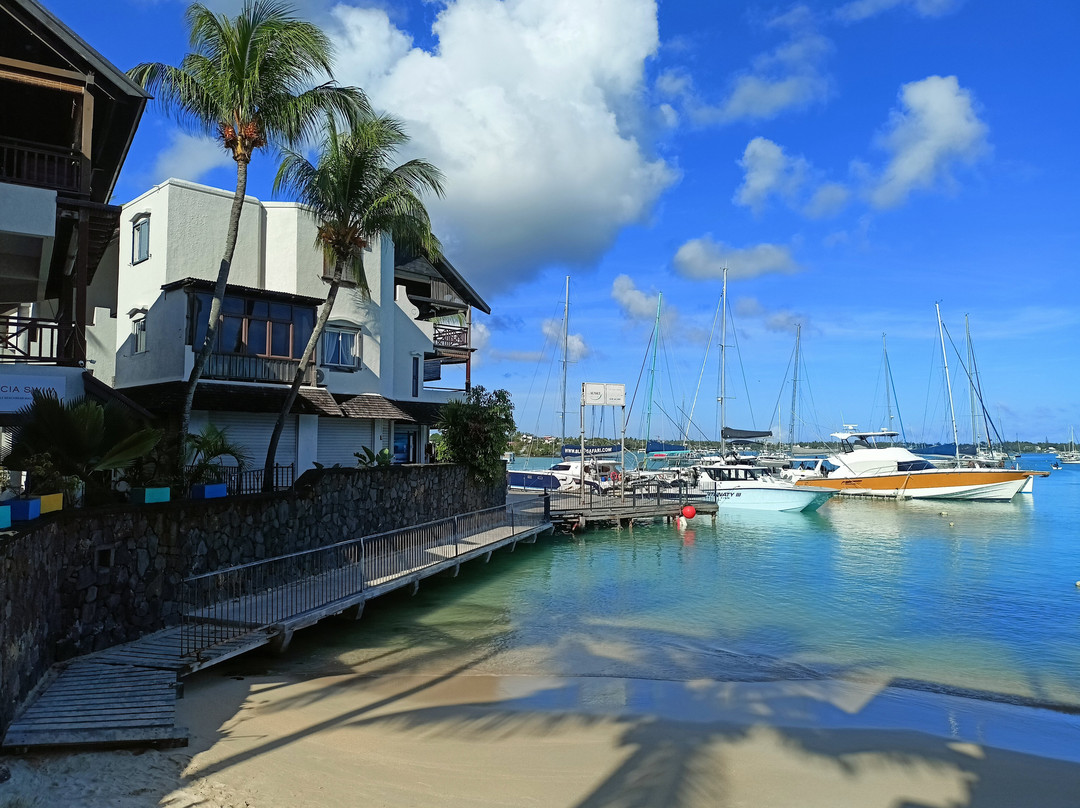 Coral Belle Catamaran Cruises-大湾必去景点