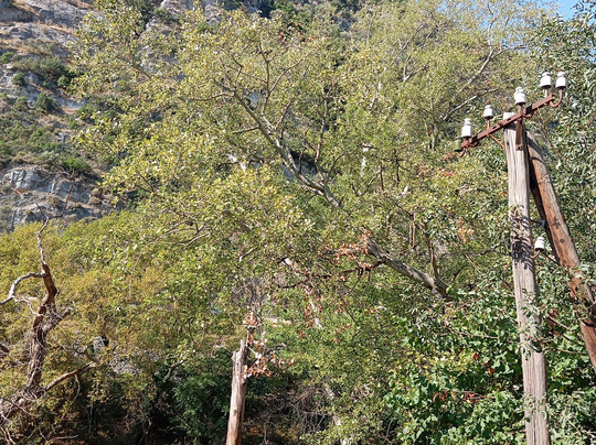 Vale of Tempe-Tempi必去景点