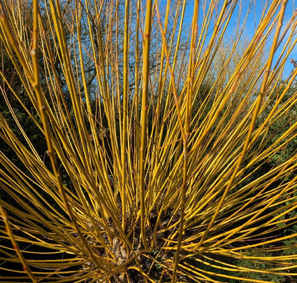 安格尔西修道院-Lode必去景点