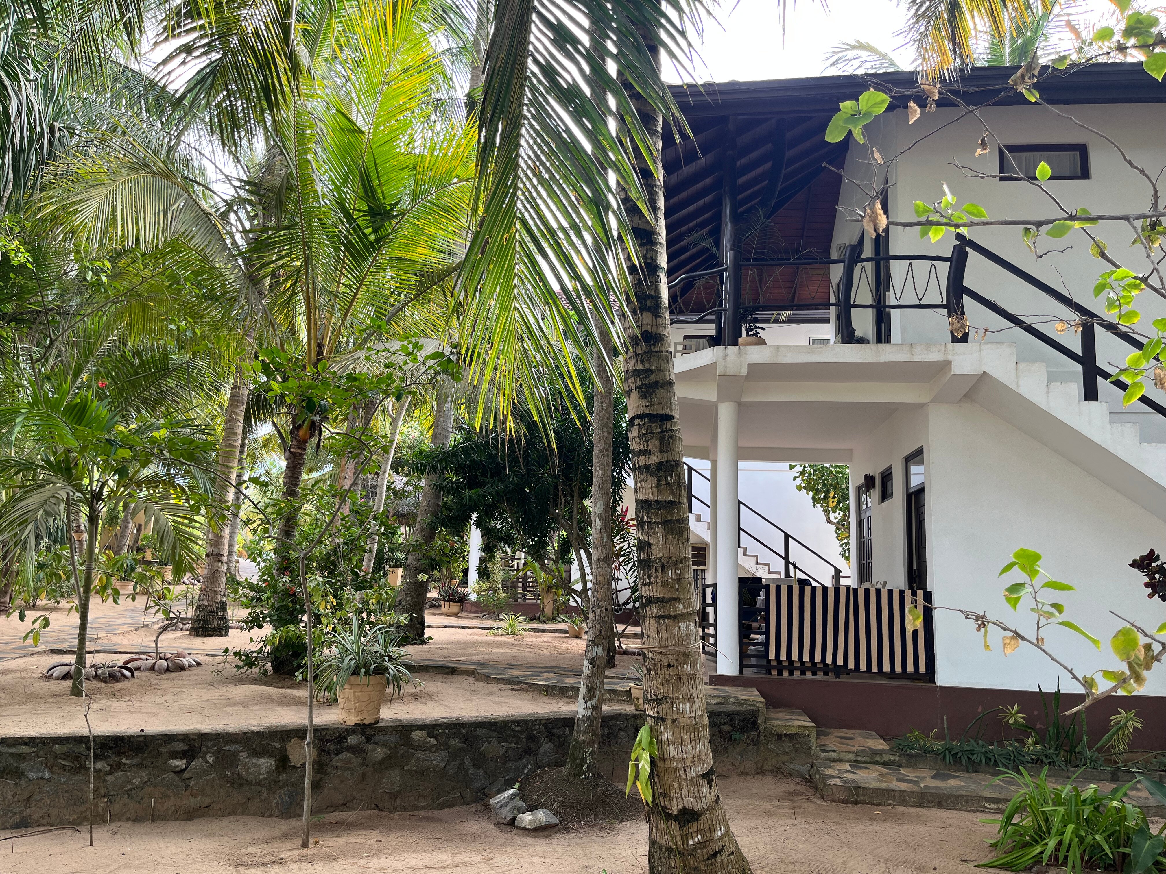 Golden Beach Paradise-官方