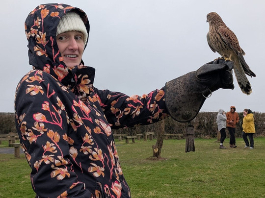 The British Bird of Prey Centre-喀麦登必去景点