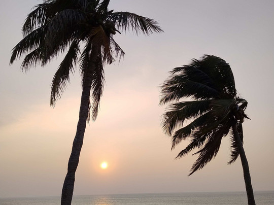 芒特拉维尼亚酒店主图