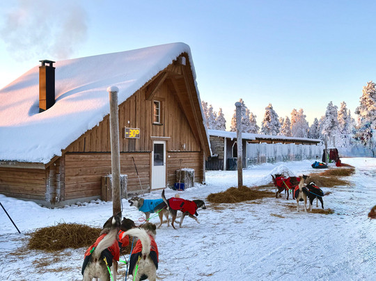 哈士奇雪橇之旅-罗瓦涅米必去景点