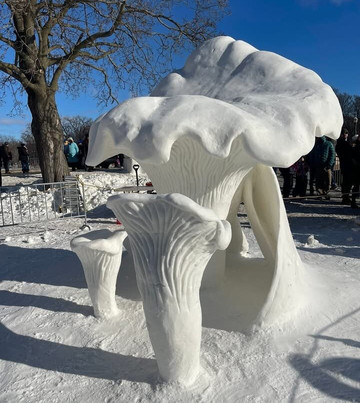 日内瓦湖湾酒店主图