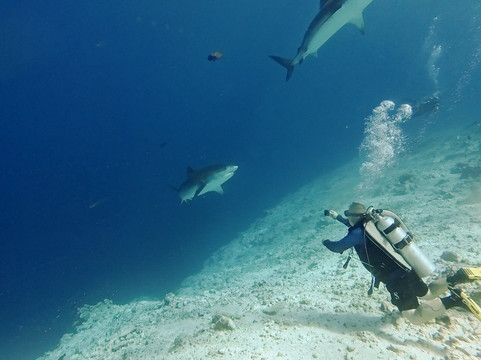 Fuvahmulah Dive School-Fuvahmulah必去景点
