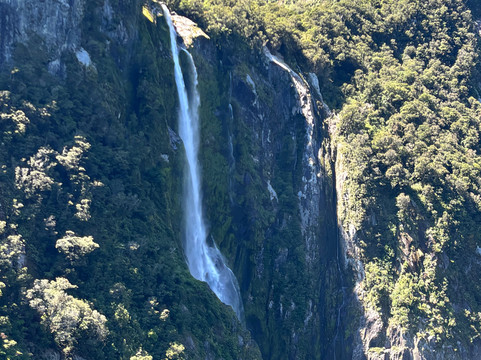 Wild Kiwi Tours-奥克兰中心地区必去景点