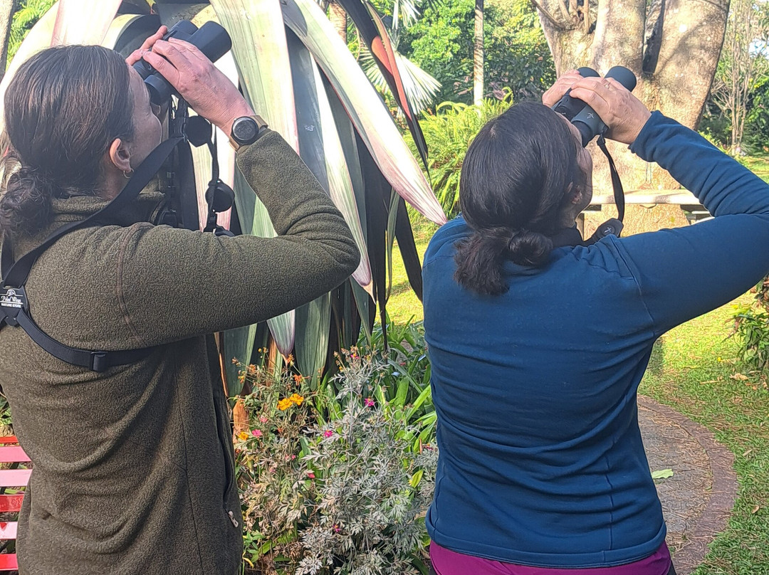 Ave Nativa Birding Tours Costa Rica-爱雷迪雅必去景点