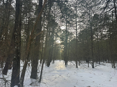 Natural Lands Trust Harold N. Peek Preserve