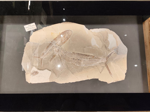 Memory of Time-朱拜勒必去景点