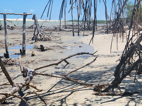 Jeri Top Tour-Jijoca de Jericoacoara必去景点