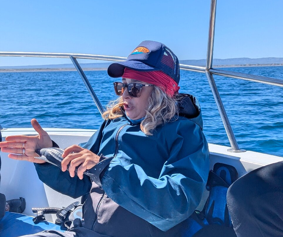 On Board Baja-拉巴斯必去景点