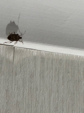 布达佩斯水世界度假村主图