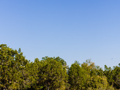 露西营旅馆主图
