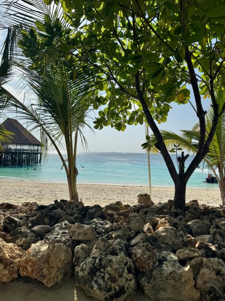 Hotel Riu Jambo-官方