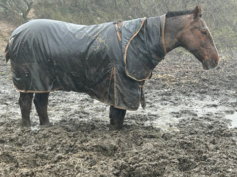 Caradon Hill Trekking and Equestrian Centre-Pensilva必去景点